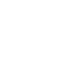 Wellesley Information Services